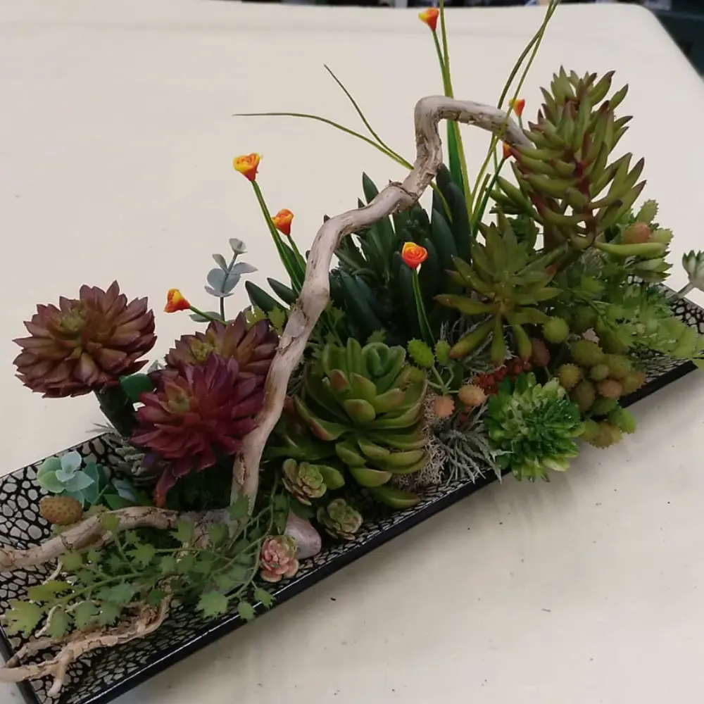 florista-en-gijon-plantas