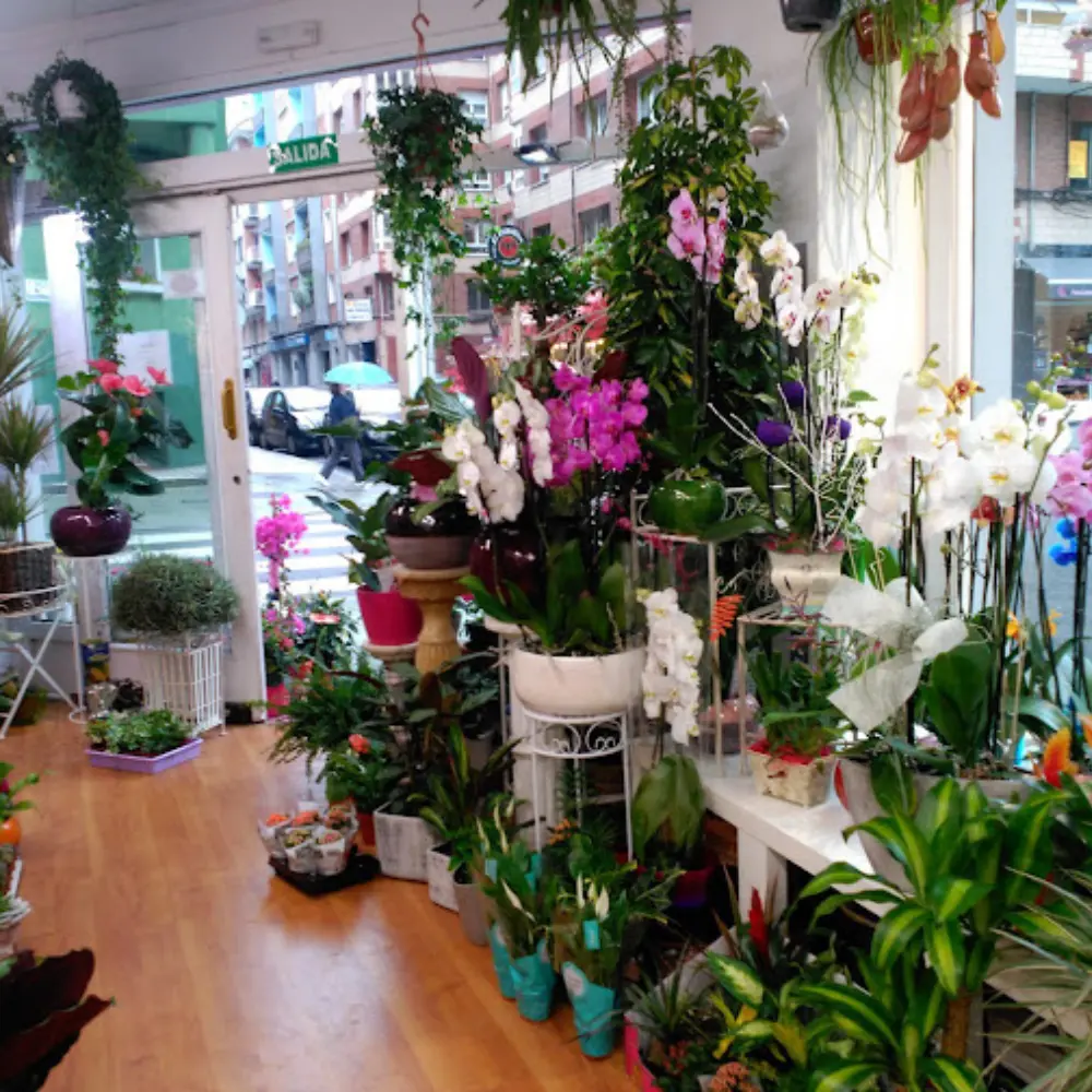 inicio-kimbers-floristerias